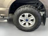 Thumbnail of 2016 Caribou Metallic Ford F-150