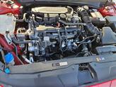 Thumbnail of 2021 Scarlet Red Pearl Hyundai ELANTRA