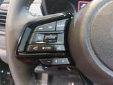Thumbnail of 2025 Crystal Black Silica Subaru Forester