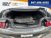 Thumbnail of 2024 CARBONIZED GRAY METALLIC Ford Mustang