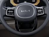 Thumbnail of 2026 Panthera Metal Kia Carnival Hybrid