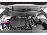 Thumbnail of 2022 Glacial White Pearl Kia Sorento