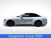 Thumbnail of 2023 Oxford White Ford Mustang