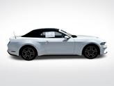 Thumbnail of 2023 Oxford White Ford Mustang