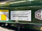 Thumbnail of 2025 Eruption Green Metallic Ford Bronco