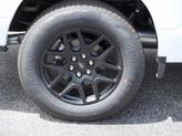 Thumbnail of 2025 Oxford White Ford F-150