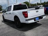 Thumbnail of 2025 Oxford White Ford F-150