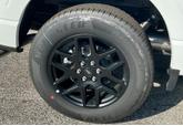 Thumbnail of 2025 Oxford White Ford F-150