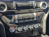 Thumbnail of 2019 MAGNETIC METALL Ford Mustang