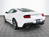 Thumbnail of 2025 Oxford White Ford Mustang