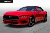 Photo of 2024 Race Red Ford Mustang
