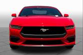Thumbnail of 2024 Race Red Ford Mustang