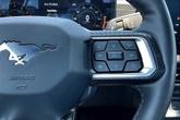 Thumbnail of 2024 Race Red Ford Mustang