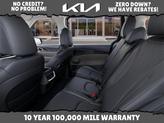 Thumbnail of 2026 Panthera Metal Kia Carnival
