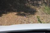 Thumbnail of 2025 Rhodium White Premium Mazda CX-70 PHEV