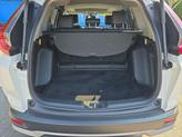 Thumbnail of 2022 Platinum White Pearl Honda CR-V