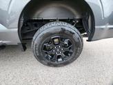 Thumbnail of 2023 Carbonized Gray Metallic Ford F-150