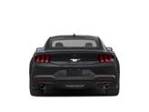 Thumbnail of 2025 Oxford White Ford Mustang