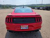 Thumbnail of 2022 Race Red Ford Mustang