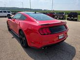 Thumbnail of 2022 Race Red Ford Mustang