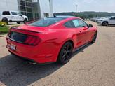 Thumbnail of 2022 Race Red Ford Mustang