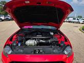 Thumbnail of 2022 Race Red Ford Mustang