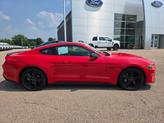 Thumbnail of 2022 Race Red Ford Mustang