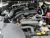 Thumbnail of 2020 Pearl Subaru Outback