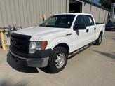 Photo of 2014 Oxford White Ford F-150