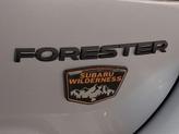 Thumbnail of 2025 Ice Silver Subaru Forester