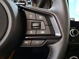 Thumbnail of 2025 Ice Silver Subaru Forester