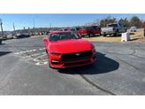 Thumbnail of 2025 Race Red Ford Mustang