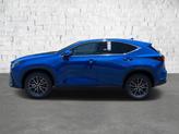 Thumbnail of 2025 Grecian Water Lexus NX 350