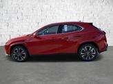 Thumbnail of 2025 Redline Lexus UX 300h