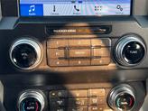 Thumbnail of 2019 Magnetic Ford F-150