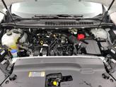 Thumbnail of 2024 White Ford Edge