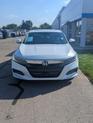 Thumbnail of 2020 Platinum White Pearl Honda Accord