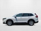 Thumbnail of 2026 Platinum White Pearl Honda CR-V