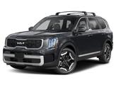 Photo of 2025 Panthera Metal Kia Telluride