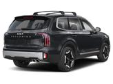 Thumbnail of 2025 Panthera Metal Kia Telluride