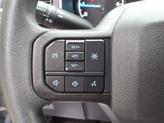 Thumbnail of 2023 Avalanche Gray Ford F-150