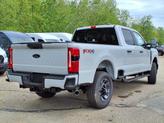 Thumbnail of 2025 Avalanche Ford F-250