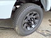 Thumbnail of 2025 Avalanche Ford F-250