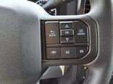 Thumbnail of 2025 Avalanche Ford F-250