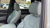 Thumbnail of 2023 Jungle Green Kia Telluride