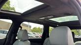 Thumbnail of 2023 Jungle Green Kia Telluride