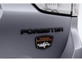 Thumbnail of 2025 Ice Silver Metallic Subaru Forester
