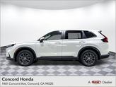 Photo of 2026 Platinum White Pearl Honda CR-V