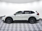 Thumbnail of 2026 Platinum White Pearl Honda CR-V