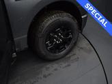 Thumbnail of 2025 Carbonized Gray Metallic Ford F-150 Lightning